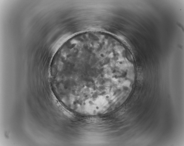 X0000102481287200809051347