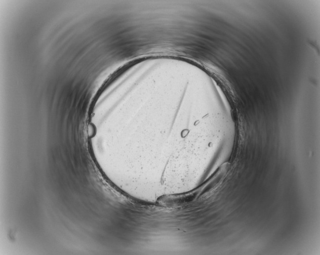 X0000102481288200809051347