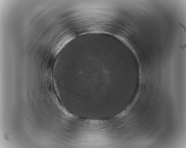 X0000102481289200809051347