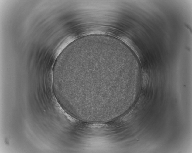 X0000102481290200809051347