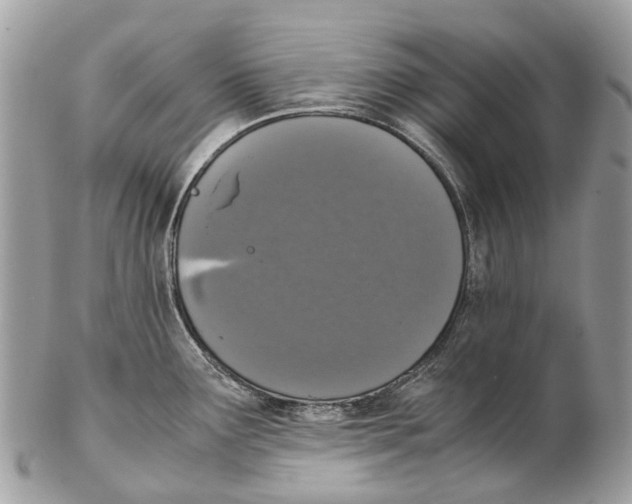 X0000102481291200809051347