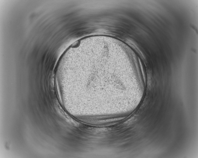 X0000102481292200809051347