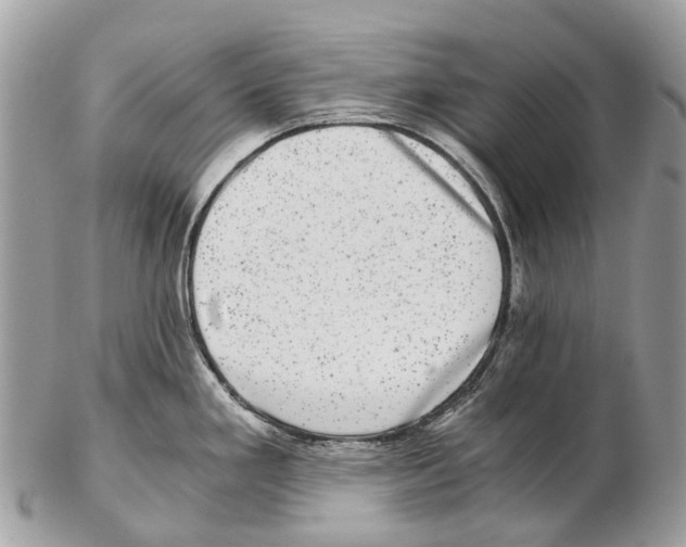 X0000102481293200809051347