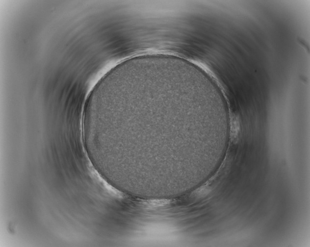 X0000102481294200809051347