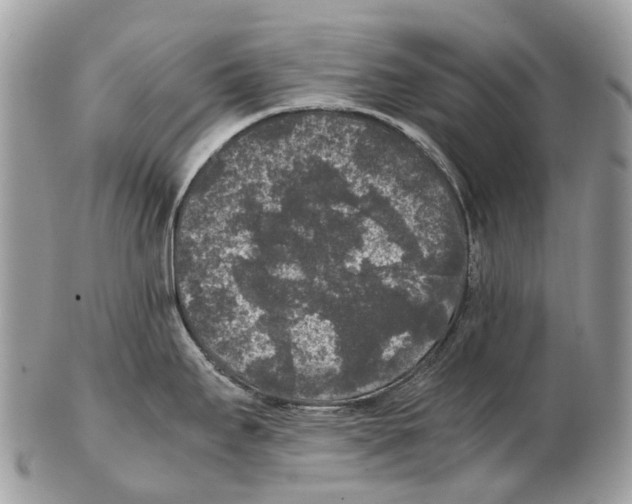 X0000102481295200809051347