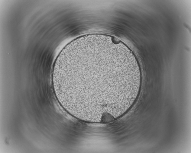 X0000102481296200809051347