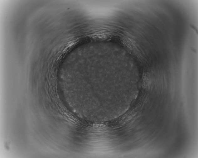 X0000102481297200809051346