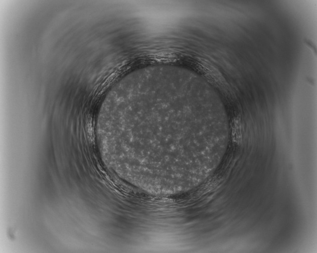 X0000102481298200809051346