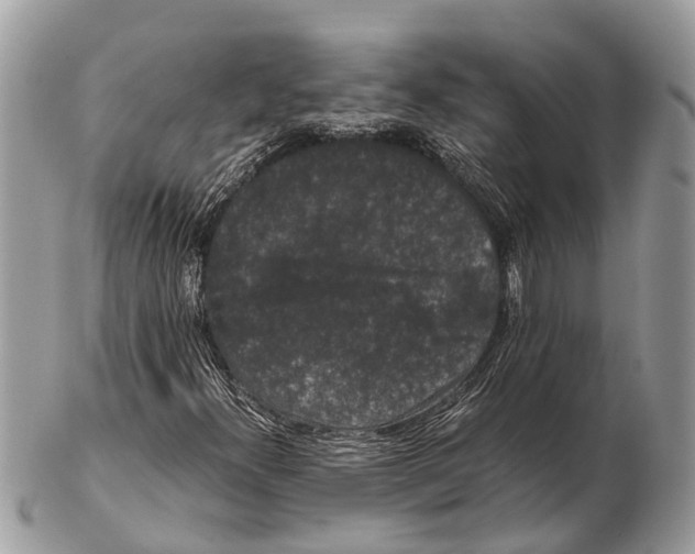 X0000102481300200809051346