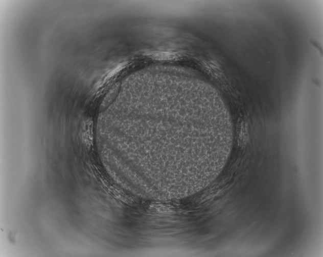 X0000102481301200809051346