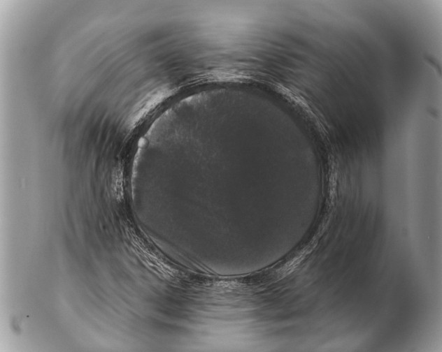 X0000102481306200809051346