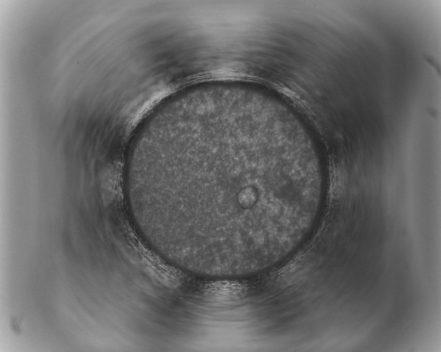 X0000102481314200809051347