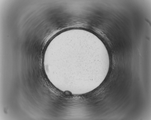 X0000102481316200809051347