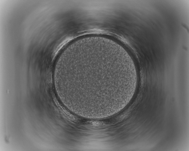 X0000102481318200809051347