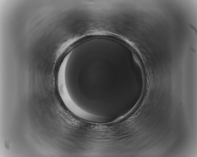 X0000102481319200809051347