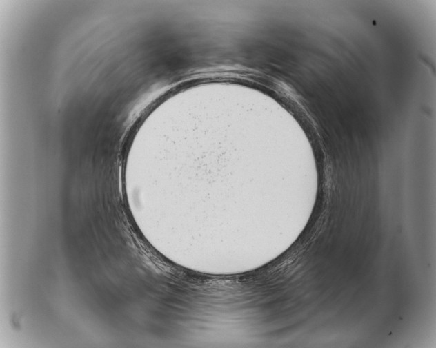 X0000102481320200809051347