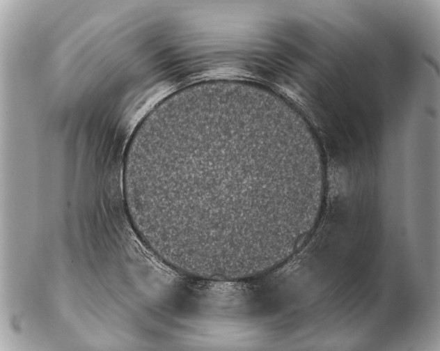 X0000102481322200809051347