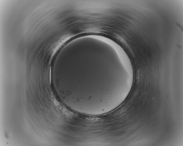 X0000102481323200809051347