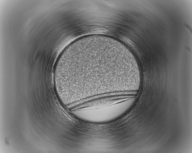 X0000102481324200809051347