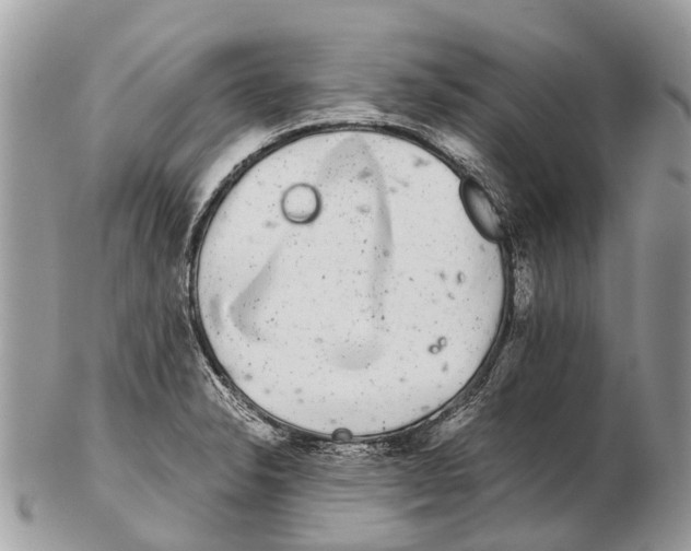 X0000102481326200809051347