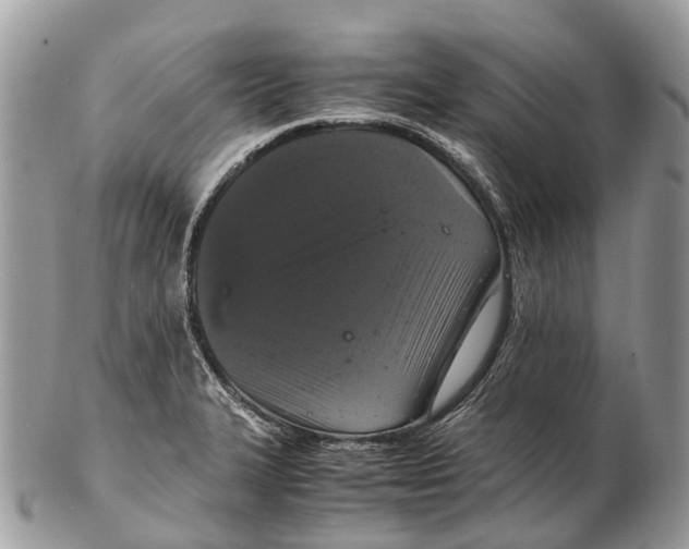 X0000102481327200809051347