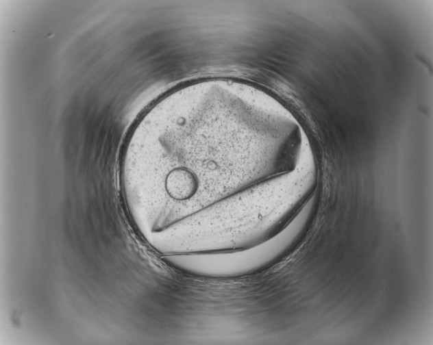 X0000102481328200809051347