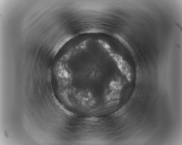 X0000102481329200809051347