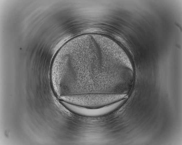 X0000102481330200809051347