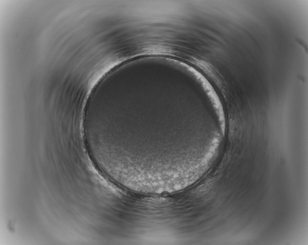 X0000102481331200809051347