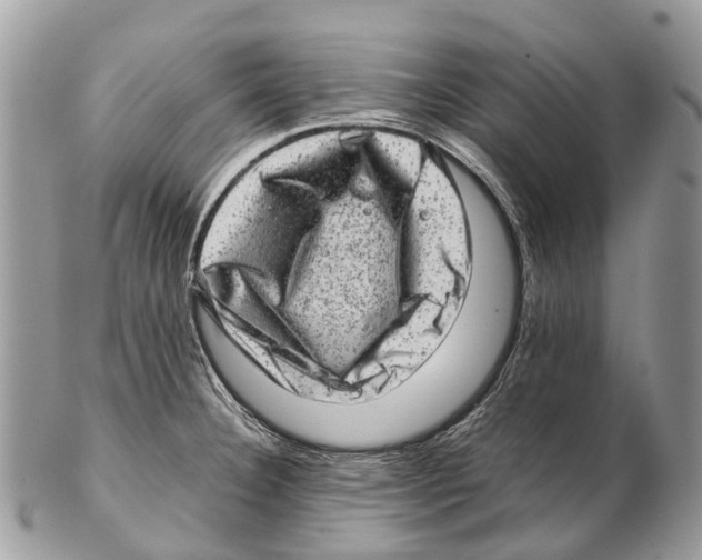 X0000102481332200809051347