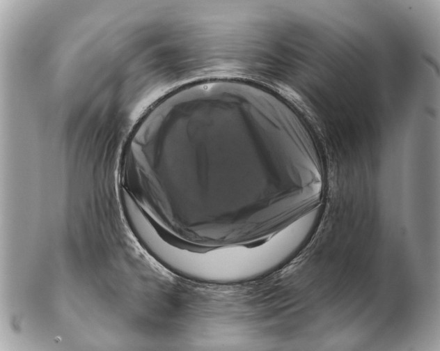 X0000102481334200809051347