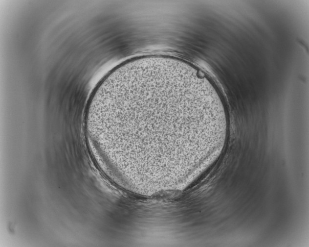 X0000102481336200809051347