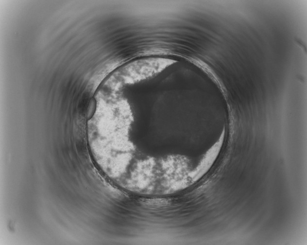 X0000102481337200809051347