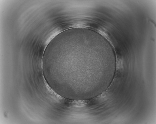 X0000102481338200809051347