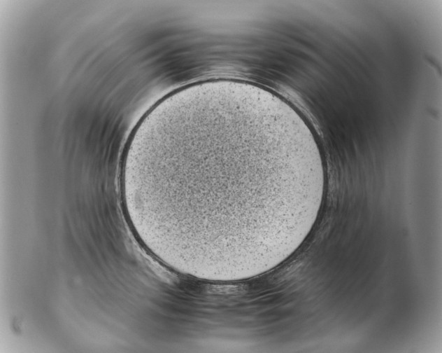 X0000102481339200809051347