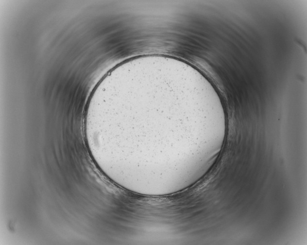 X0000102481340200809051347