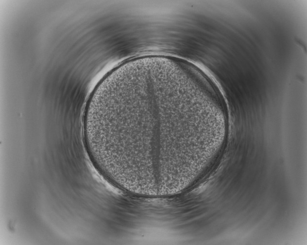 X0000102481341200809051347