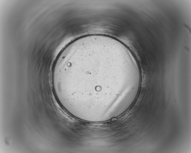 X0000102481342200809051347