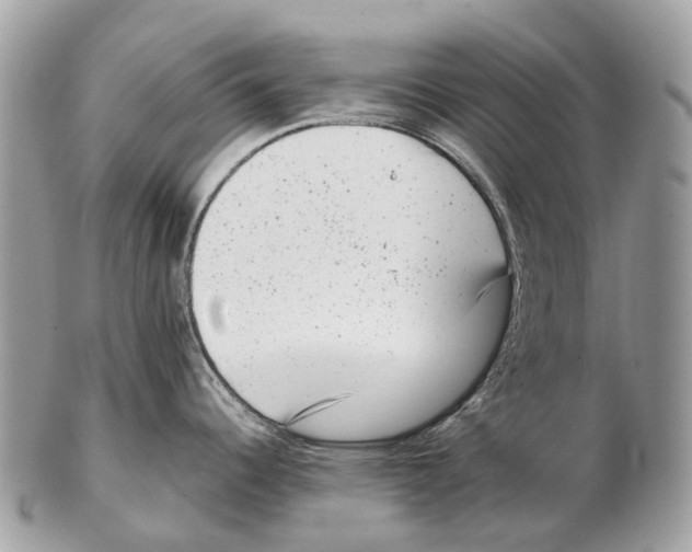 X0000102481344200809051347