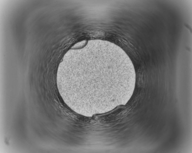 X0000102481345200809051346