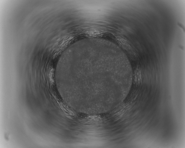 X0000102481346200809051346