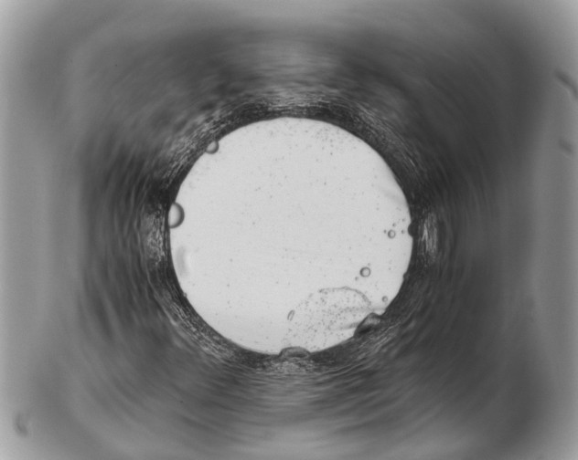 X0000102481348200809051346