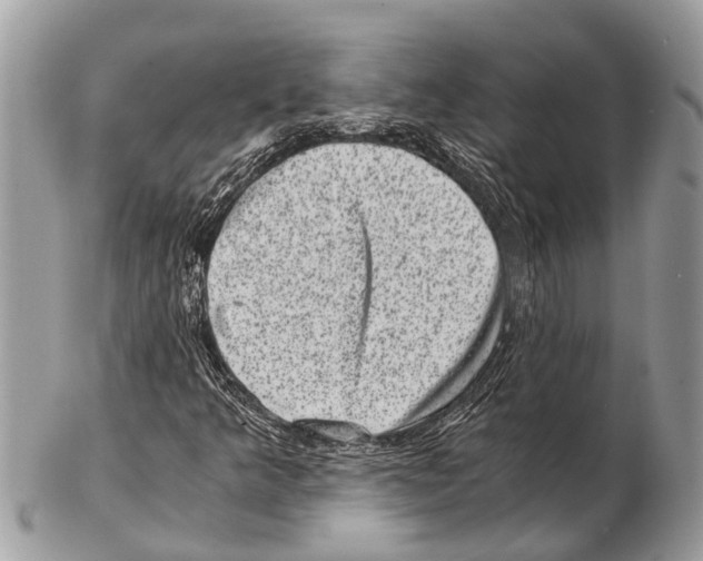 X0000102481349200809051346