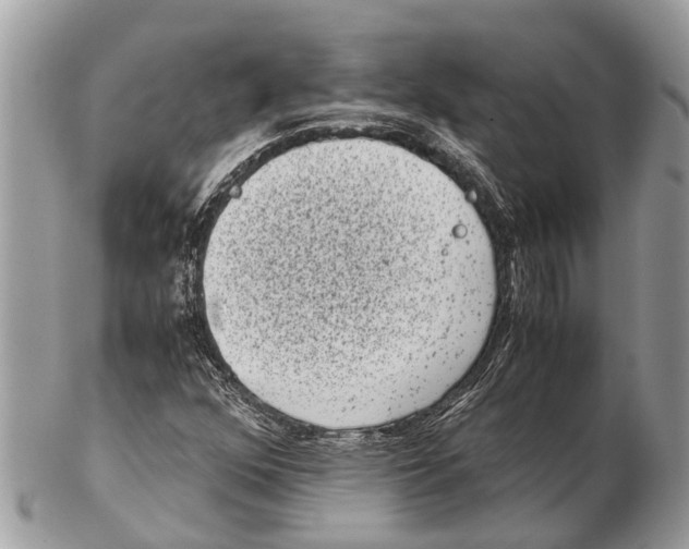 X0000102481352200809051346