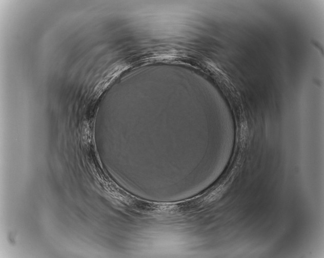 X0000102481353200809051346