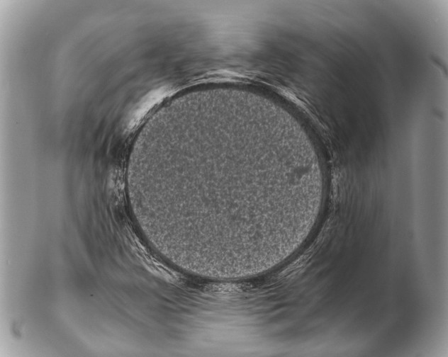 X0000102481355200809051346