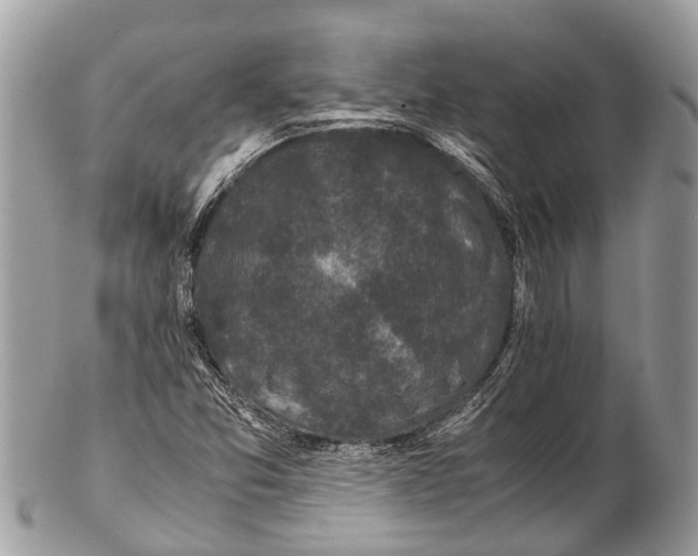 X0000102481357200809051346