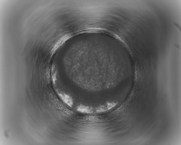 X0000102481362200809051346