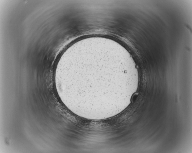 X0000102481364200809051346