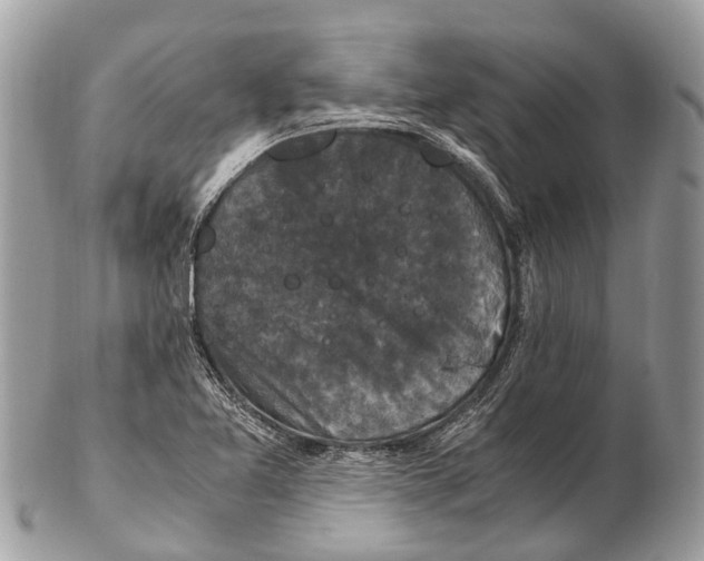 X0000102481365200809051346